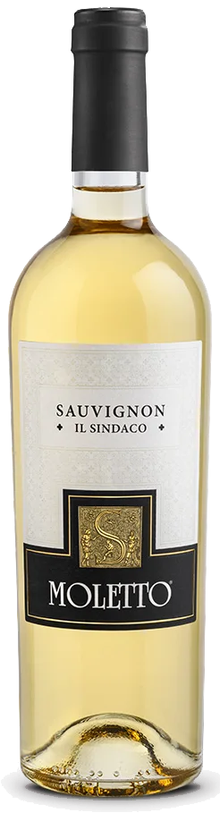 Sauvignon – Il Sindaco